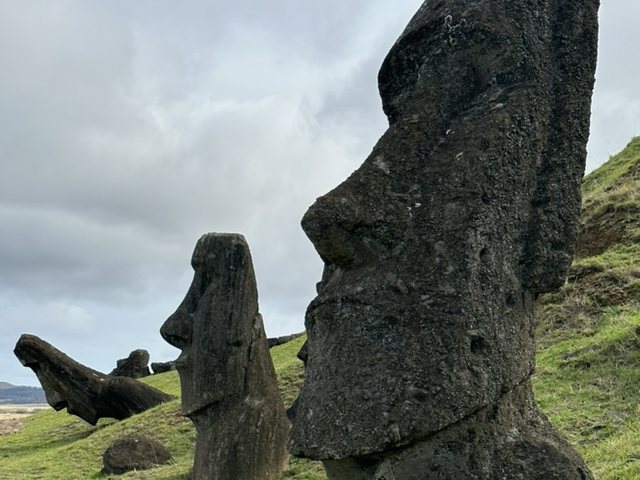 Moáis en la ladera del Rano Raraku, Rapa Nui